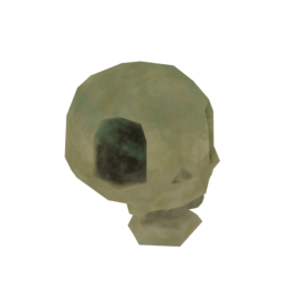 Skull
